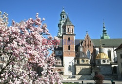 Małopolska Monk