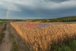 Lubelskie Arkadiusz Ziółek