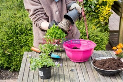 Bios Gardens ftp July 2017