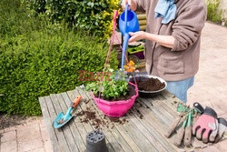 Bios Gardens ftp July 2017