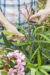 Bios Gardens ftp July 2017