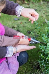 Bios Gardens ftp July 2017