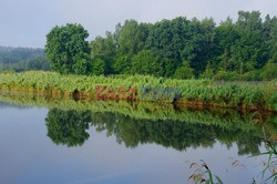 Świętokrzyskie MaBa