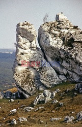 Zamki i pałace Polski