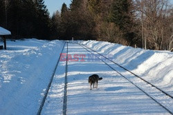 Podkarpacie MaZa