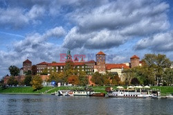 Kraków Albin Marciniak