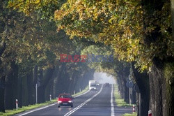 Złota polska jesień