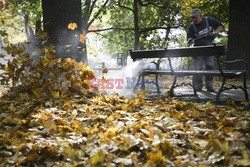 Złota polska jesień