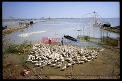 Historie znad Mekongu - Vu Images