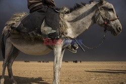 Irak walczy z ISIS - Vu Images