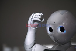 Robot Pepper  - Luz Photo