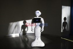 Robot Pepper  - Luz Photo