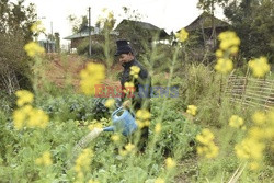 Indie, Haiti, Wietnam - problem z toaletami - Noor Images