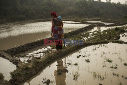 Indie, Haiti, Wietnam - problem z toaletami - Noor Images