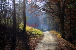 Pieninski Park Narodowy Albin Marciniak