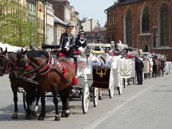 Kraków Albin Marciniak