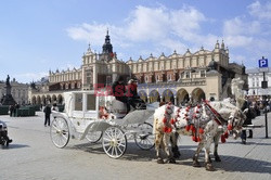 Kraków Albin Marciniak