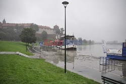 Kraków Albin Marciniak