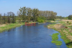 Mazowsze Marek Bazak