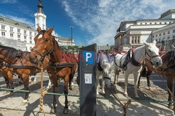 Warszawa Arkadiusz Ziółek