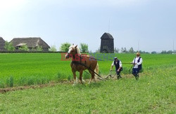 Mazowsze Marek Bazak