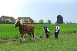 Mazowsze Marek Bazak