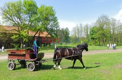 Mazowsze Marek Bazak