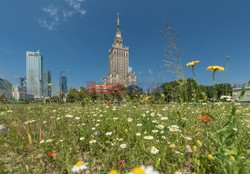 Warszawa Arkadiusz Ziółek