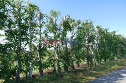 Warmia i Mazury Marek Bazak