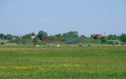 Warmia i Mazury Marek Bazak