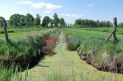 Warmia i Mazury Marek Bazak