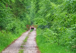 Warmia i Mazury Marek Bazak