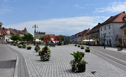 Polska Albin Marciniak