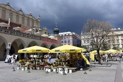 Kraków Albin Marciniak