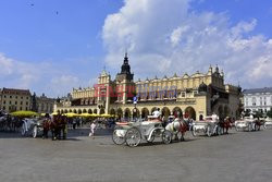 Kraków Albin Marciniak