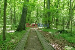 Warmia i Mazury Marek Bazak