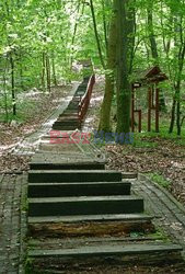 Warmia i Mazury Marek Bazak