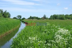 Warmia i Mazury Marek Bazak