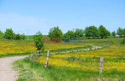 Warmia i Mazury Marek Bazak