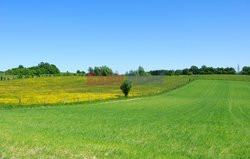 Warmia i Mazury Marek Bazak