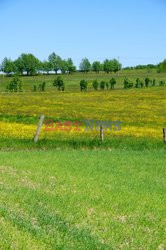 Warmia i Mazury Marek Bazak