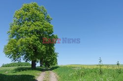 Warmia i Mazury Marek Bazak