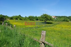 Warmia i Mazury Marek Bazak