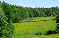 Warmia i Mazury Marek Bazak