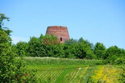 Warmia i Mazury Marek Bazak