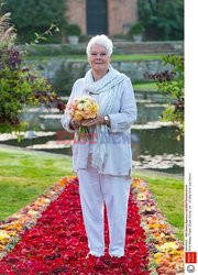  Judi Dench tnie kwiaty