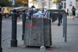 Warszawa Arkadiusz Ziółek