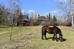 Obiekty zabytkowe i skanseny Albin Marciniak