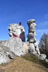 Zamki i pałace w Polsce Albin Marciniak