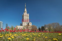 Warszawa Arkadiusz Ziółek